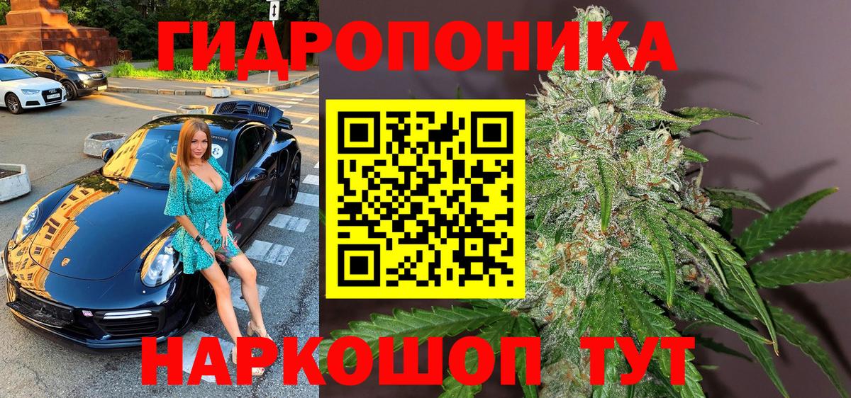 Канабис MAZAR  Каннабис Bruce Banner  Марихуана тримм  Вход с VPN  Октябрьский 